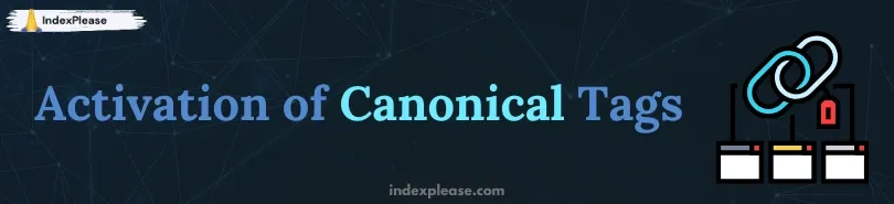 View of canonical tags and its importance in indexing